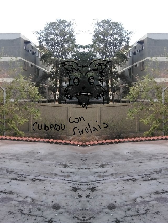 firulais.jpg