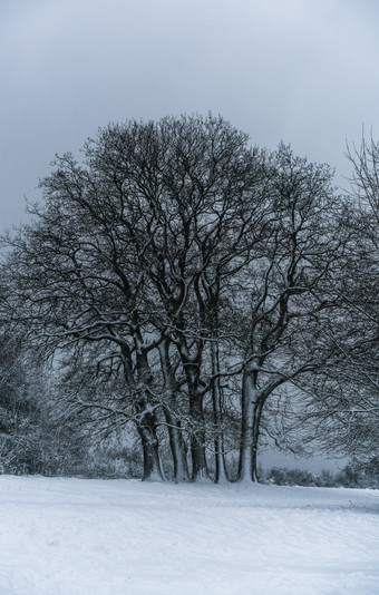 IMG03039.jpg