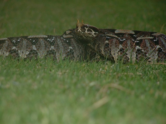 DSCF0169.JPG
