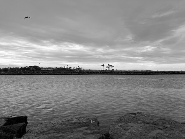 IMG_8412.jpg