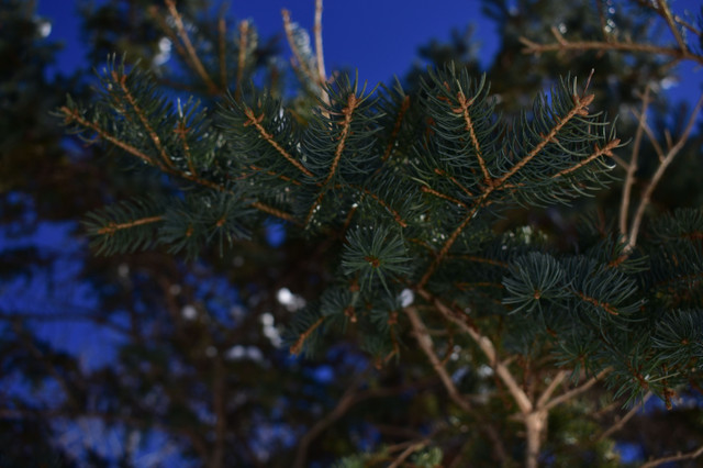 DSC_0839.JPG