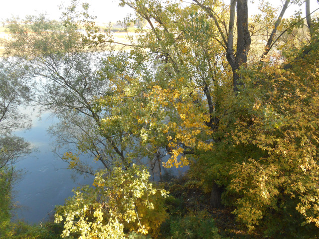 DSCN4312.JPG