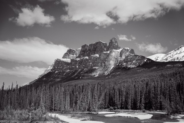 DSC_1875.jpg
