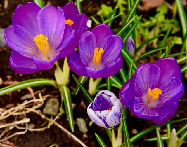 DSC_9829.jpg