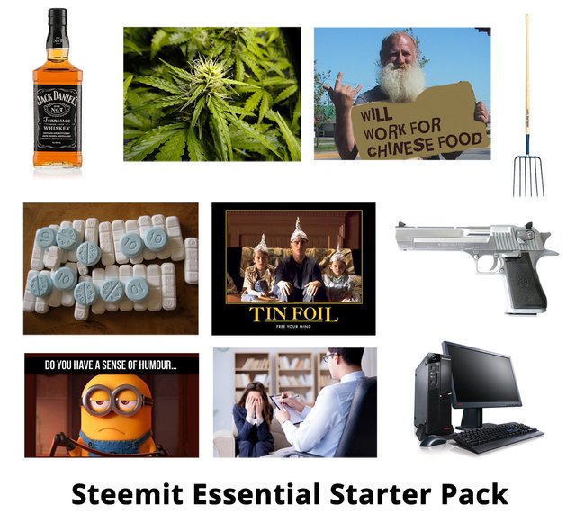 starter1.jpg