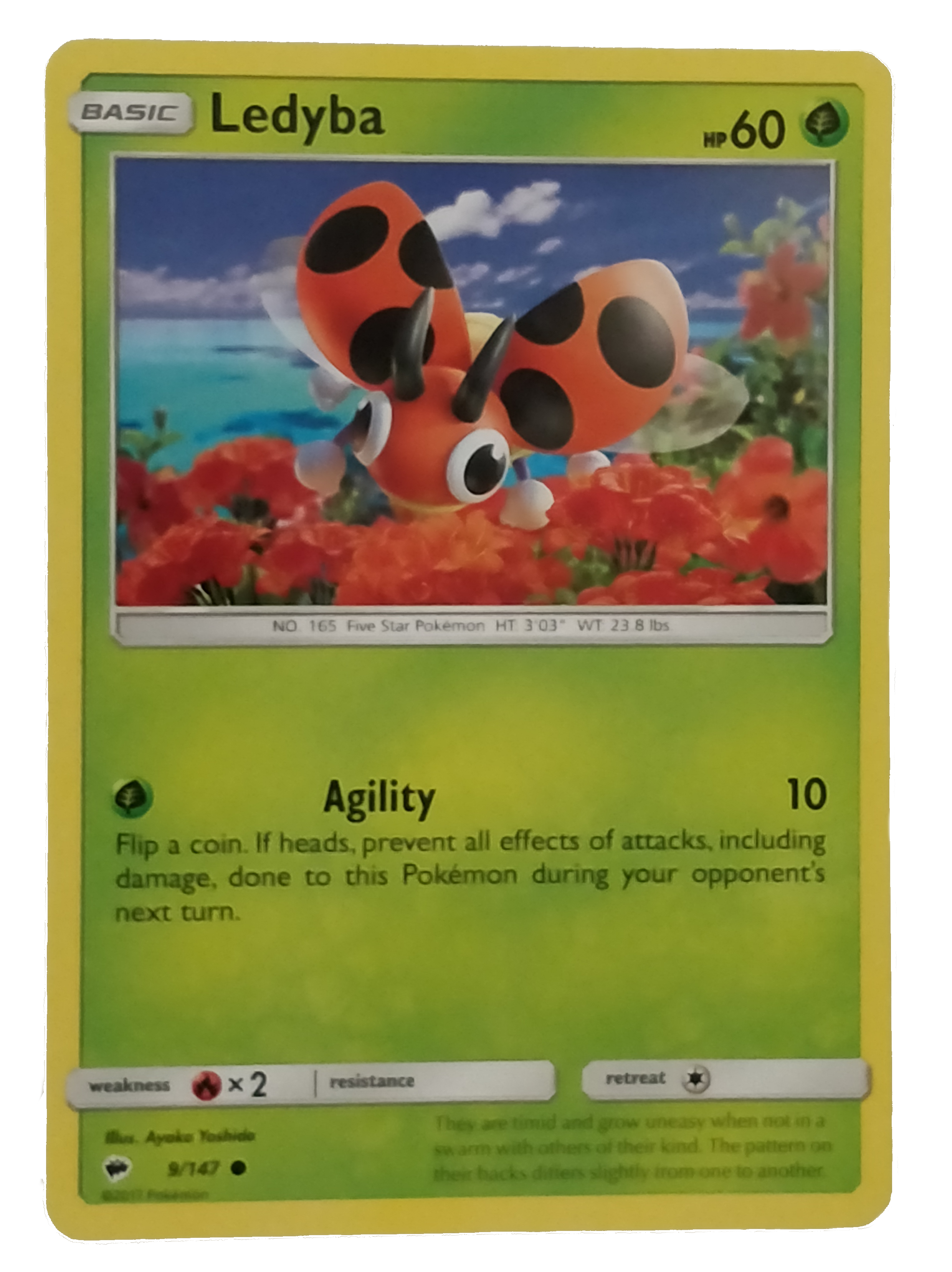 2-LEDYBA.png
