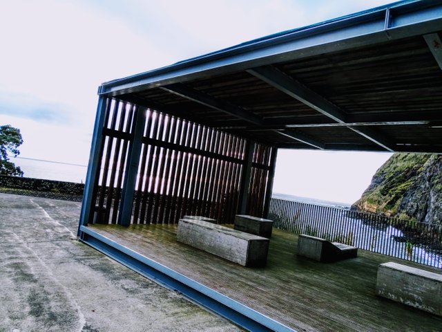 DSC04411.JPG