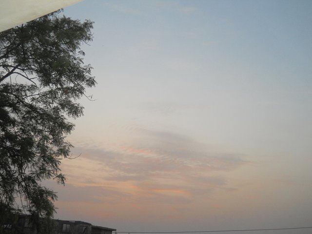 DSCN3525.JPG