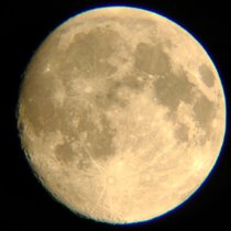 DSC_0048.jpg