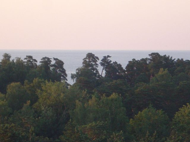 DSC05396.JPG