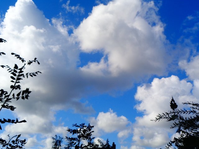DSC02562.JPG