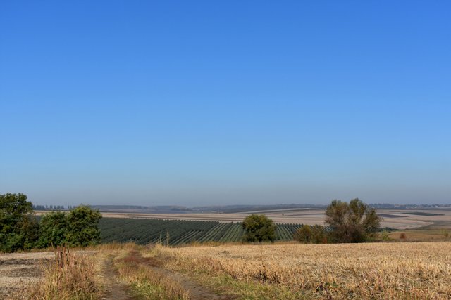 DSC_3797.jpg