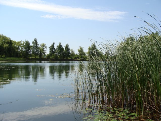 DSC04903.JPG