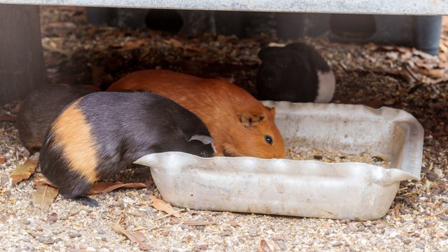 A1V05818.jpg