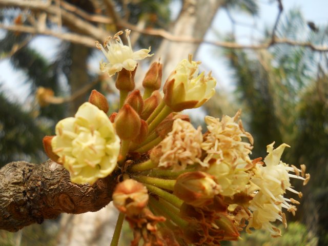 DSCN3350.JPG