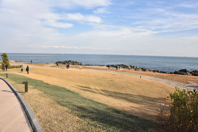DSC_2137.JPG
