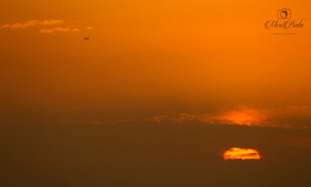 IMG_0865.jpg