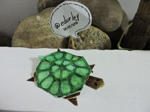 tortuga2.jpg