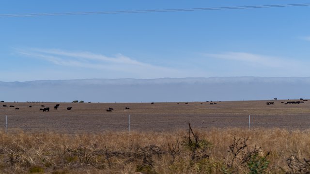 A1V04921.jpg