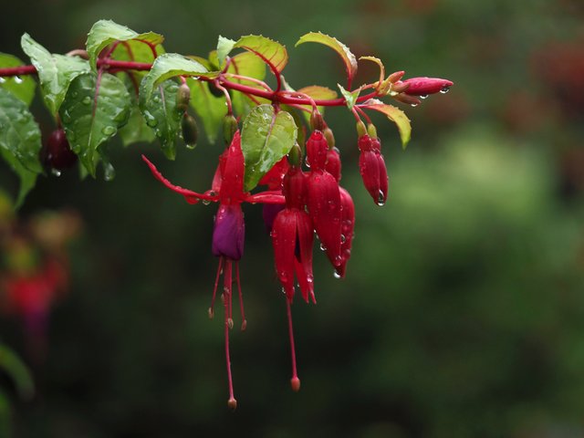 P9150125.jpg