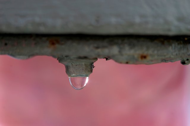 _DSC2588.JPG
