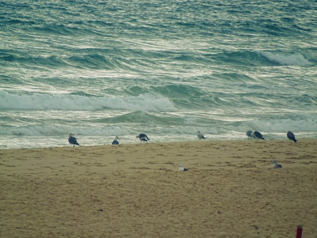 DSC04751.JPG