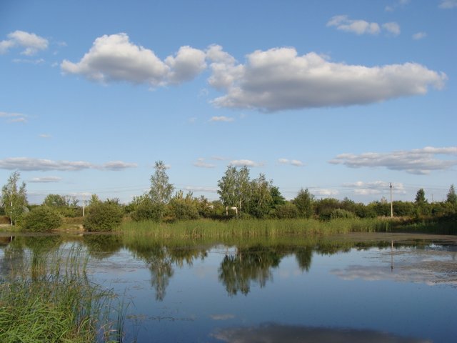 DSC00326.JPG