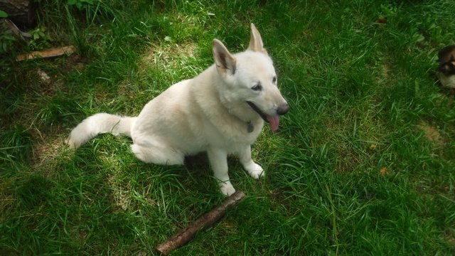 DSCF6187.JPG