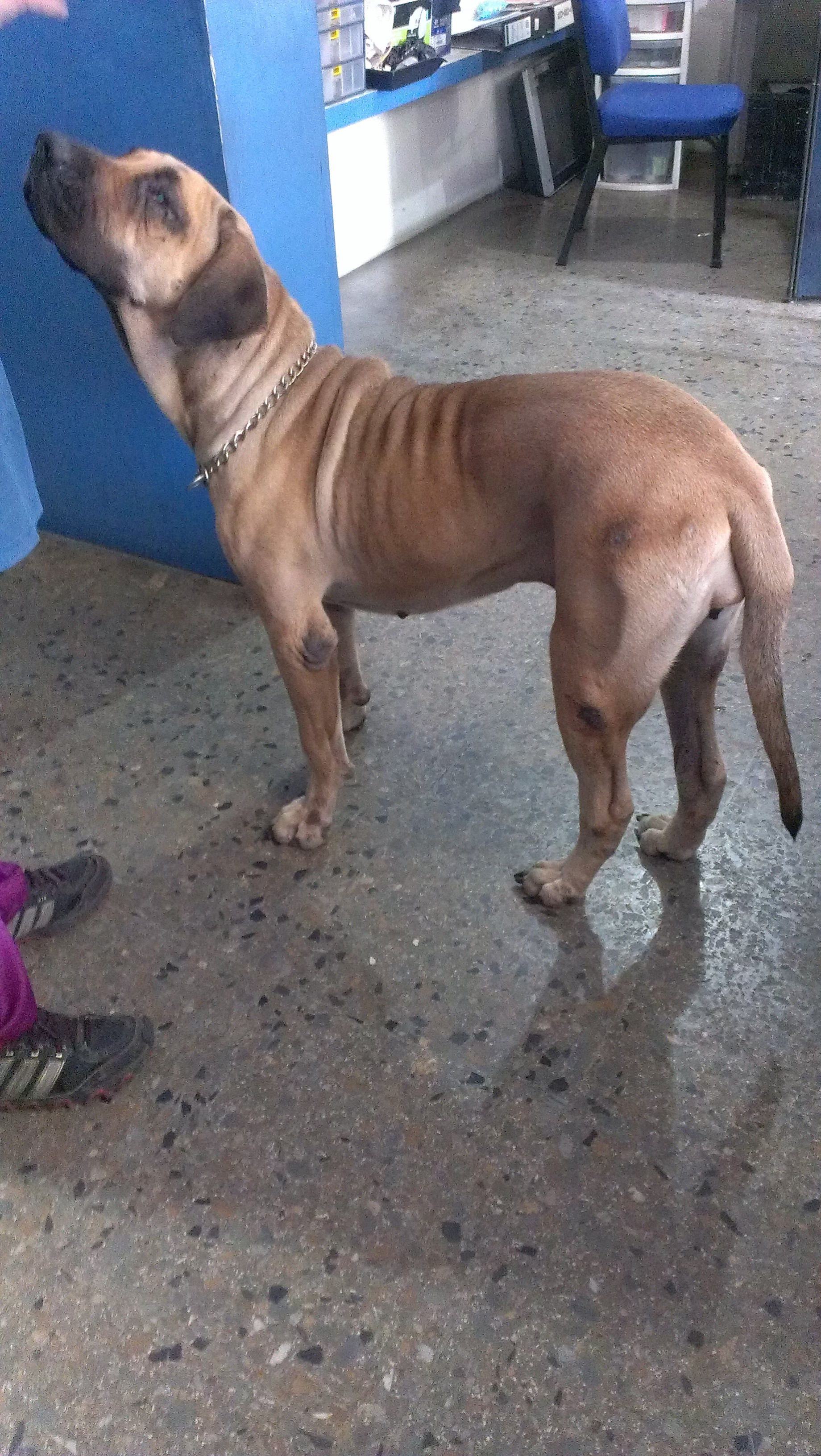 IMAG0454.jpg