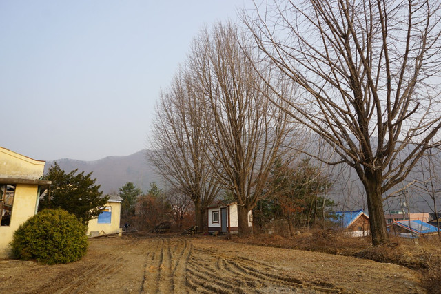 DSC06744.JPG