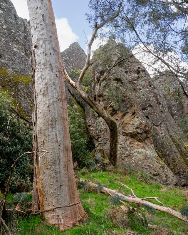 _DSC8577.jpg