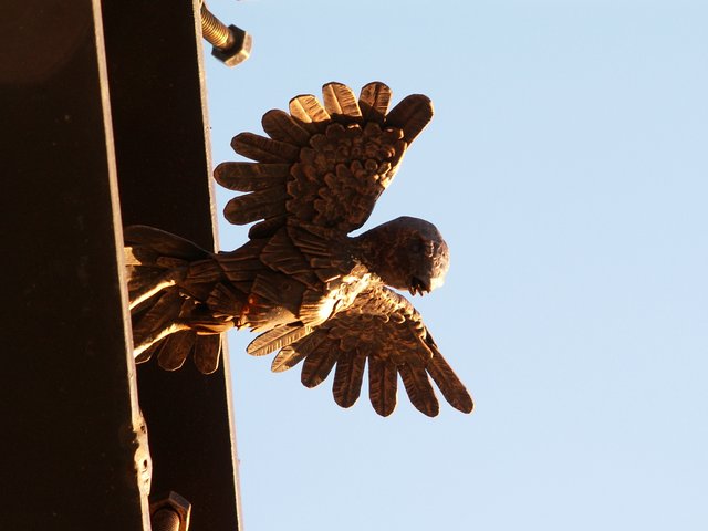 PICT0014.JPG
