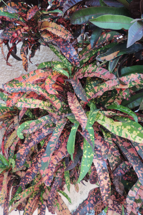 DSCN1238.JPG