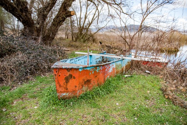 DSC_3436.jpg