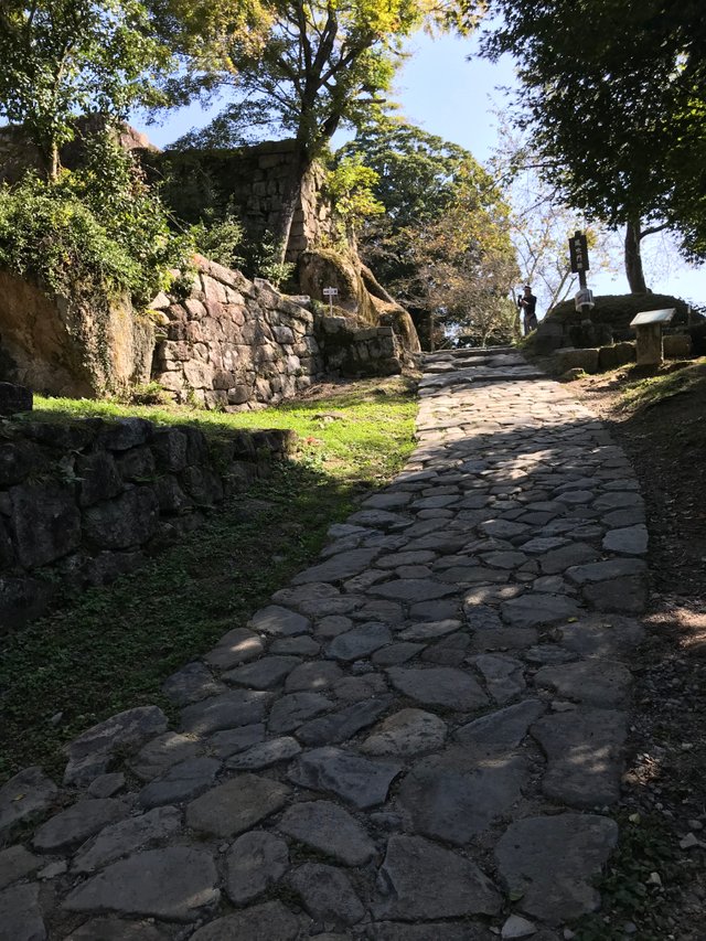 IMG_8567.JPG