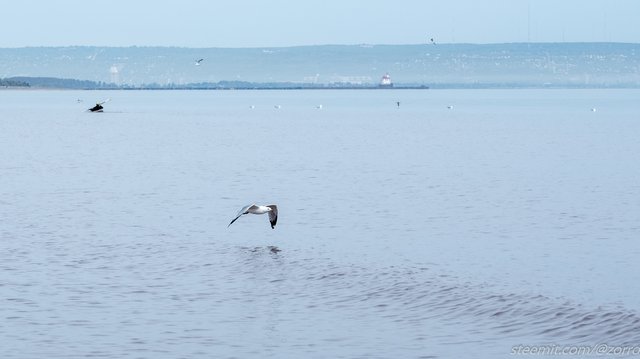 DSCF4612.jpg