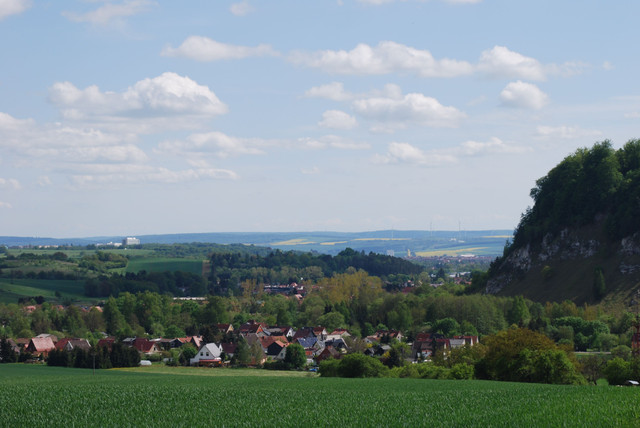 DSC_0290.JPG
