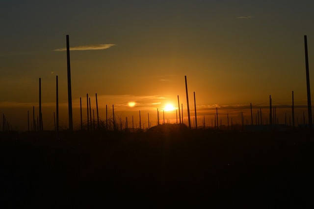DSC_0485.jpg