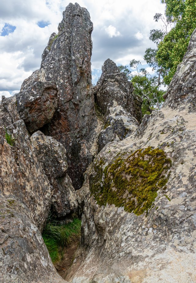 _DSC8501.jpg