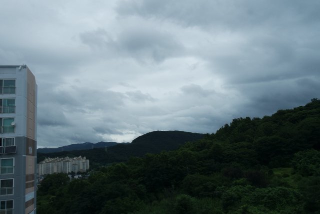 SAM_3193.JPG