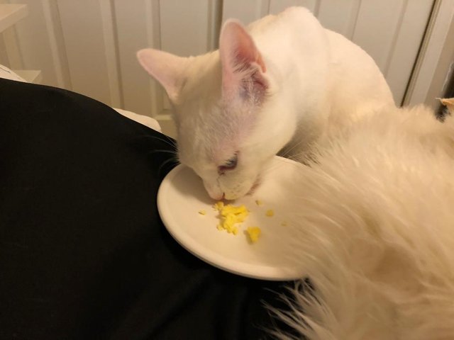breakfie.jpg