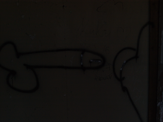 P1018636.png
