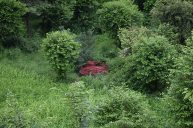 DSC_0600.JPG