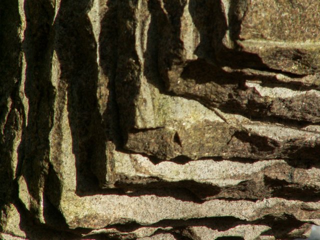PICT0045.jpg