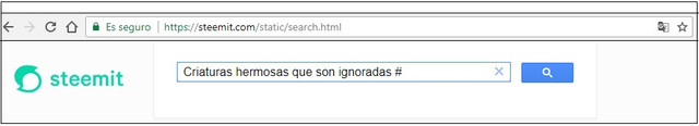 busqueda.jpg