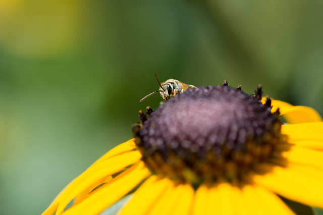 DSC_7816.jpg