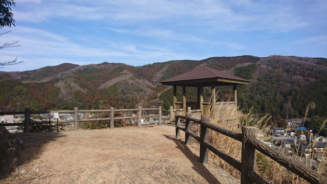 DSC_4923.JPG