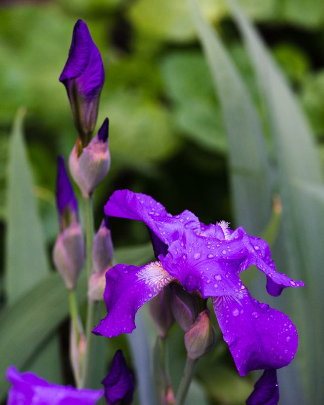 DSC04105.jpg