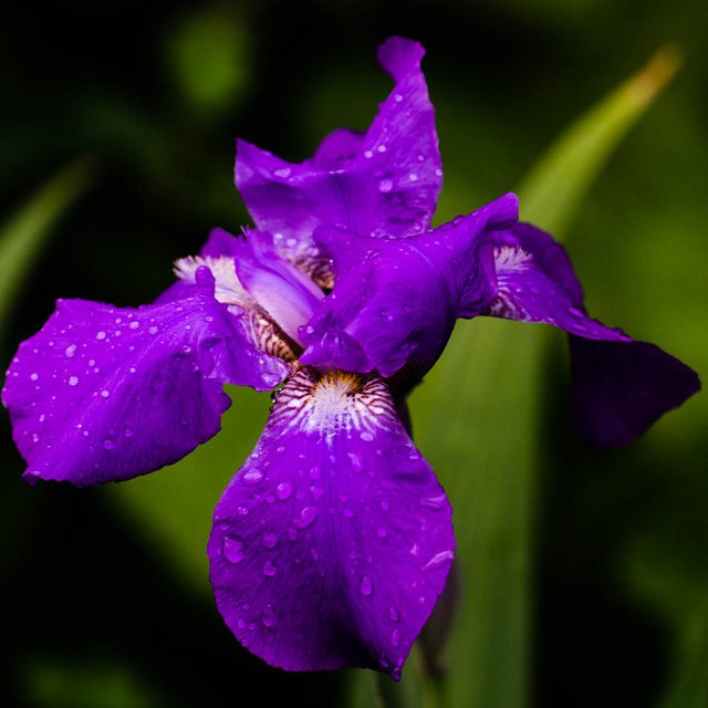 DSC04106.jpg