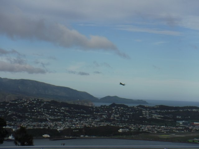 DSCF4097.JPG